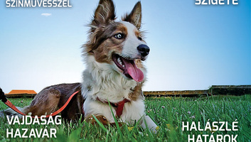 Hét Nap (augusztus 6.): Vajdaság hazavár! - illusztráció