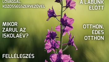 Hét Nap (május 21.): Új menetrend szerint zárul az iskolaév - illusztráció