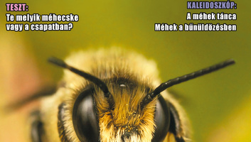 Jó Pajtás (április 30.): Hogyan zajlott a Szólj, síp, szólj! népzenei vetélkedő Óbecsén - illusztráció