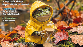 Jó Pajtás (szeptember 24.): Miért olyan nehéz az iskolatáska? - illusztráció