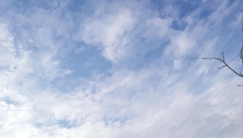 Képes Ifjúság (2026. március 25.): Felfedezőként - illusztráció