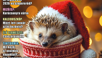 Lapszemle: Ünnepi hangulatban a Jó Pajtás - illusztráció