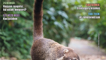 Megjelent a Jó Pajtás legújabb száma – érdekes témák, tudomány és szórakozás egy helyen - illusztráció