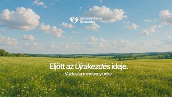 Összegyűjtötte a szükséges aláírásokat a Vajdasági Magyar Újrakezdés - illusztráció