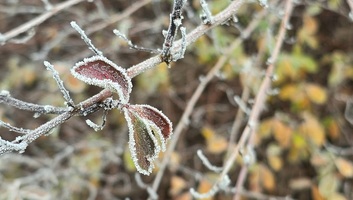 Csapadék nélküli, de hidegebb idő várható, viharos erejű széllel - illusztráció