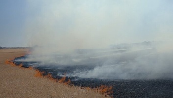Ellenőrzés alá vonták a tarlóégetések miatt keletkezett tüzeket - illusztráció
