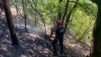 Ellenőrzés alá vonták a tüzet a Delibláti-homokpusztán - illusztráció