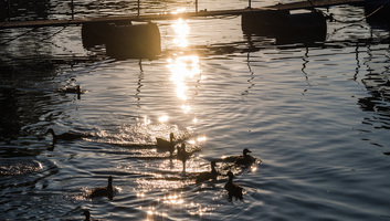 Kora nyárias hétvége, kedden már jöhet némi eső - illusztráció