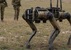 Robotkutyákat és drónelfogókat is bevetnek a szerb hadsereg nagyszabású hadgyakorlatán - illusztráció