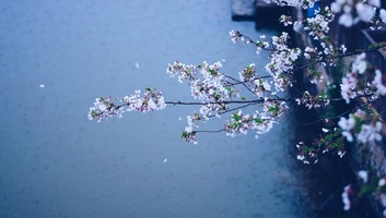 Változékony, hűvös idővel indul a hét, többfelé eső várható - illusztráció