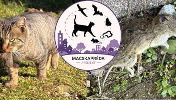 Macskapréda Projekt: A házimacskák vadászatát térképezik fel lakossági megfigyelésekkel - illusztráció