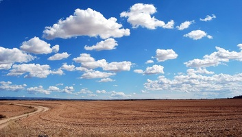 Nyolc év alatt 62 ezer agrárgazdaság szűnt meg Szerbiában - illusztráció