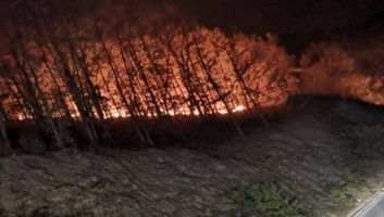 Az erős szél miatt ismét lángra kapott a növényzet a Delibláti-homokpusztán - illusztráció