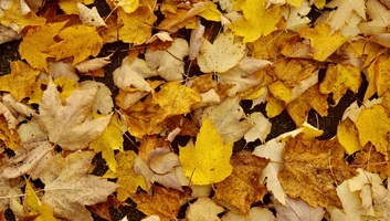 Esős, hűvös november vár ránk - illusztráció