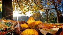Kellemes őszi idővel búcsúzik a szeptember - illusztráció
