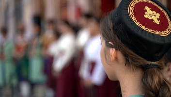 Megrovásban részesítette Kishegyest az esélyegyenlőségi biztos - illusztráció