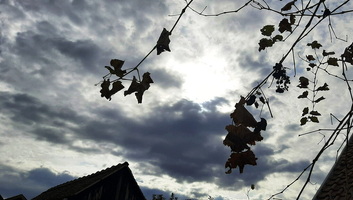 Szilveszter éjszakáján helyenként havazás is előfordulhat Vajdaságban - illusztráció