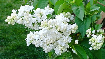 Vajdaság: A hétvégén még 20 fok körül, hétfőtől változékonyabb idő - illusztráció