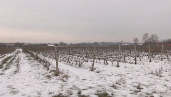 Visszatér a tél: Csapadékos, hűvös idő várható - illusztráció